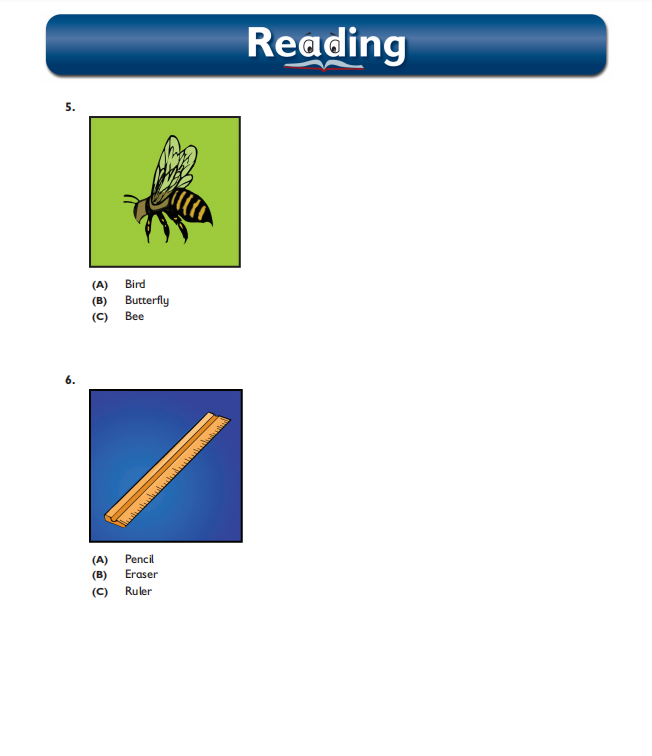 03.png